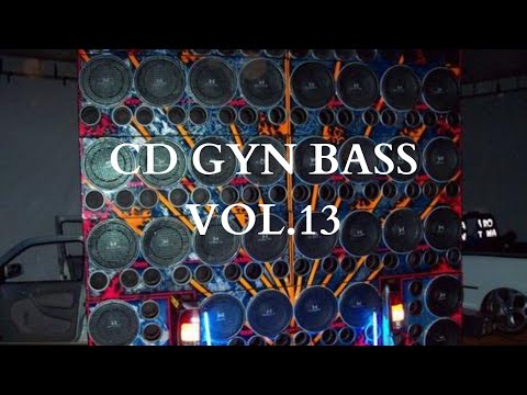 CD GYN BASS VOL  13