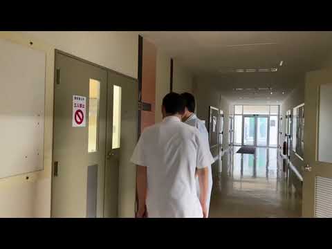獣医学科 【北里大学獣医学部　動物資源科学科】研究室紹介（動物生殖学研究室）