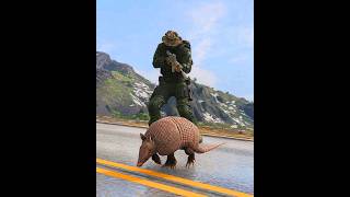 I Found This Animal on The Road - Ghost Recon Breakpoint