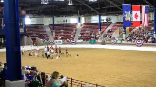 preview picture of video 'Tompkins County Tail Wagers 4H  K-9 Drill Team 2013 Grand Champions In action!'