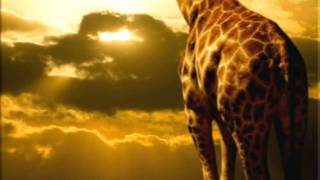 African Sunrise--performed by JOHN DENVER.wmv