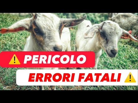 CAPRE | Come Gestire Gestazione E Parto