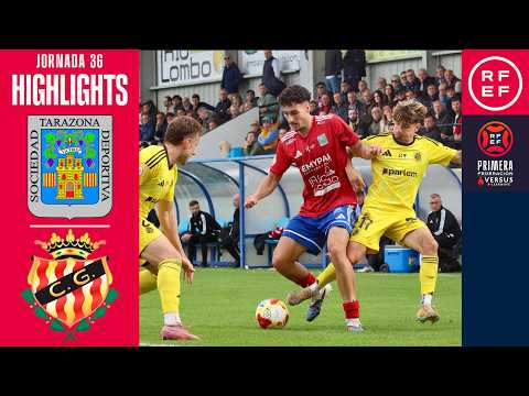 bg-highlight