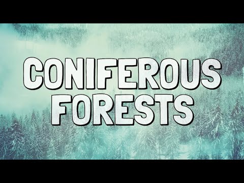 What Is the Coniferous Forest Biome?
