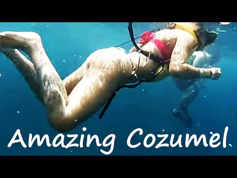 Cozumel Snorkeling