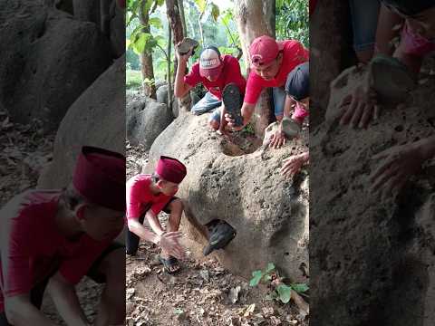 induk ayam hutan liar #shortvideo #viralshorts #viral #trending