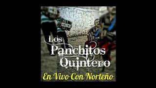 Los Panchitos Quintero - Palomas Que Andan Volando (En Vivo)