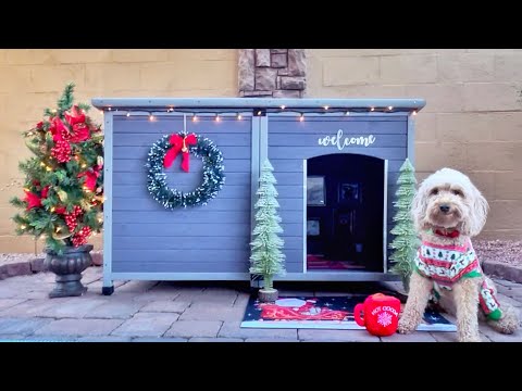 Aivituvin AIR63 AIR64 Extra Large Insulated Dog HousesUp to 100lbs