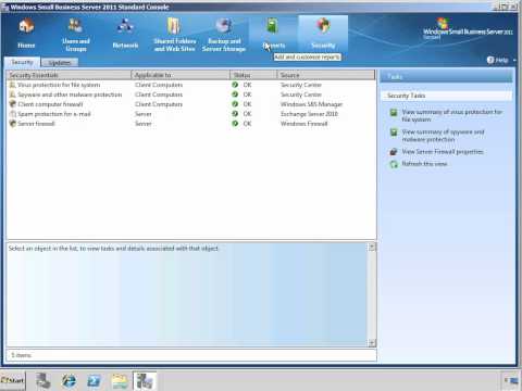 SBS 2011 Standard Learning Bites - Health Reporting.wmv