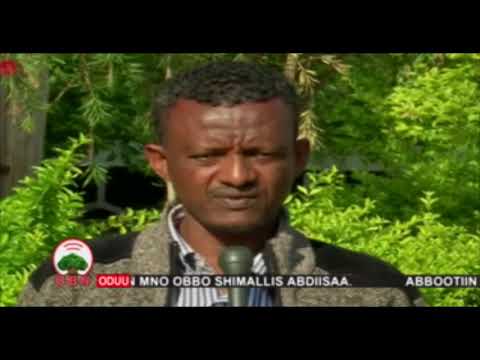 Simannaa H/Addaa 23/04/2012