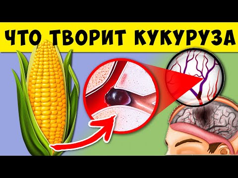 Вот что творит Кукуруза с Кровью, Сосудами, Потенцией, Кишечником и Даже...