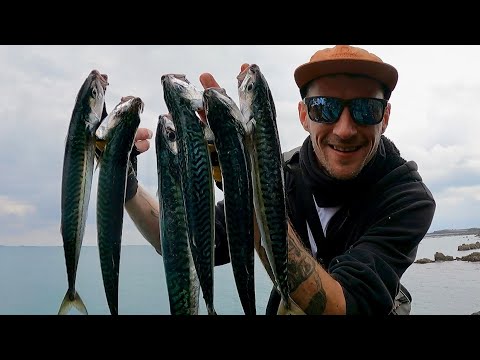 MACKEREL FISHING ON LIGHT GEAR | CATCH MACKEREL ON METAL JIGS