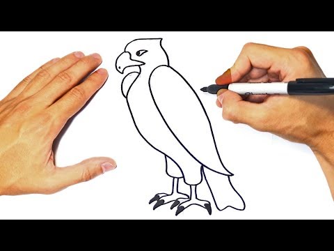 How to draw an Eagle Step by Step | Eagle Drawing Lesson ...
