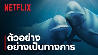 ตัวอย่างสารคดีอย่างเป็นทางการ [ซับไทย]