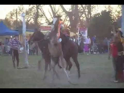 PAULO VS EL TOCAYO DE GERMAN NIMER !!!!