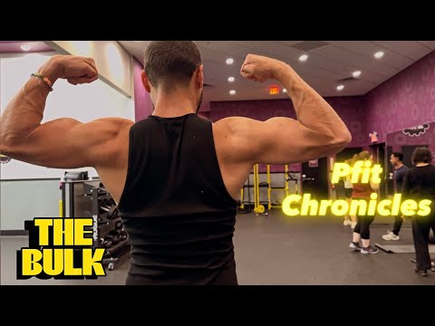 The Bulk Day 102 : Pull Day