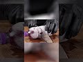 Slicing A Frozen Grape Fanta Ai Veo3 Glassart Fyp Fypシ