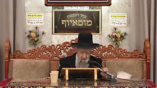 הרב בן ציון מוצפי  •  הקדוש ברוך הוא מתאווה לתפילתם של צדיקים (בית הכנסת מוסאיוף) - התמונה מוצגת ישירות מתוך אתר האינטרנט יוטיוב. זכויות היוצרים בתמונה שייכות ליוצרה. קישור קרדיט למקור התוכן נמצא בתוך דף הסרטון