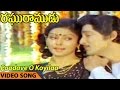 Paadave O Koyilaa Video Song Raghuramudu Telugu Movie Shoban Babu Sarada Sumalatha