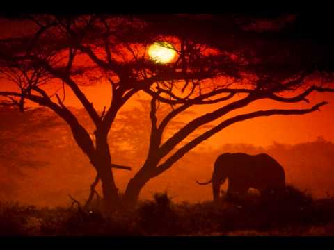 Pex Africah, Nkokhi, and DJ Micks - African Toys [ DJ Micks In The Jungle Mix ]