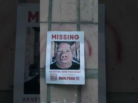 John Pork missing! NikPig episode