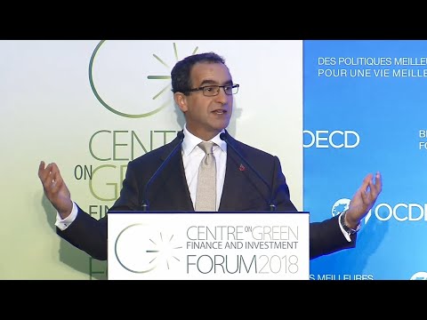 Keynote speech by Michael Liebreich, 5th OECD Centre on Green Finance and Investment Forum