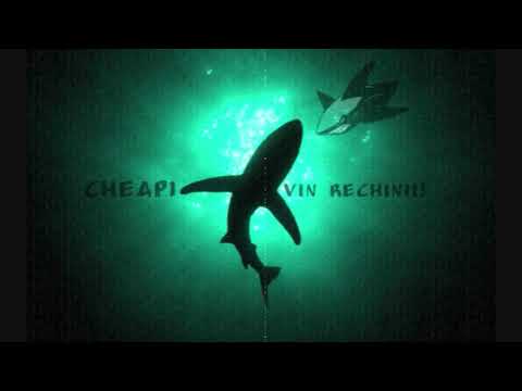 CHEAP1  - VIN RECHINII ! (Official Audio)