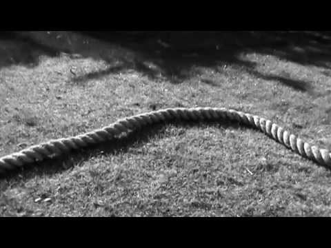 Rope Outbreak: The Total Body Workout - Teaser