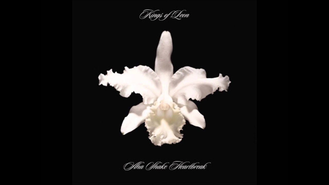 Kings Of Leon - Aha Shake Heartbreak • CIB trailer