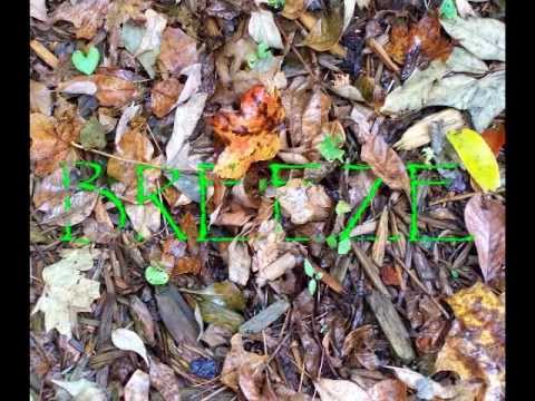 I Need You (c) 2013 Michael Jones BREEZE