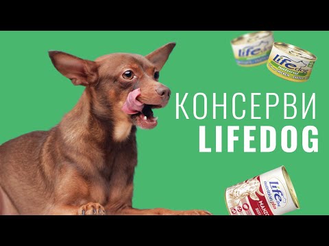 Консерви LifeDog Beef With Vegetables для дорослих собак, філе яловичини та овочі, 90 г video