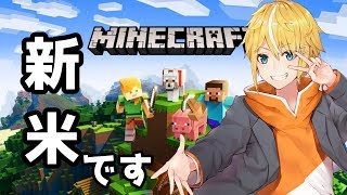 【Minecraft】マイクラ初心者がビーチにお家を建てる