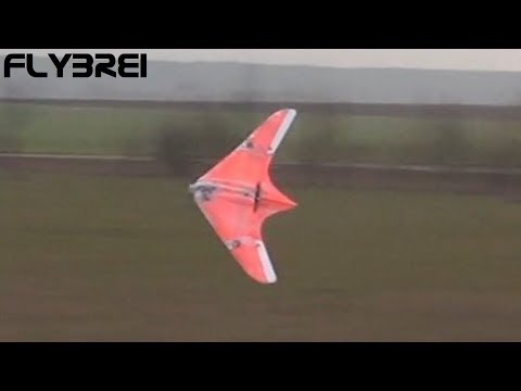 3d printed RC Plane Horten ohne Seitenruder😎 IX GO 229 HO 229 3d gedruckt flying wing  #Horten