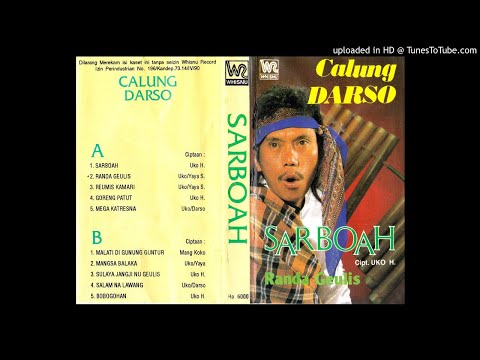 DARSO - Goreng Patut