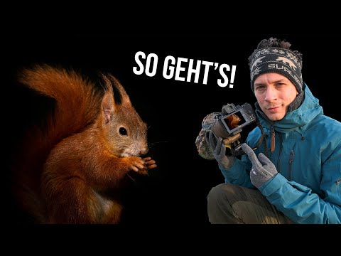 Dafür könnt ihr auch Bilder unterbelichten!