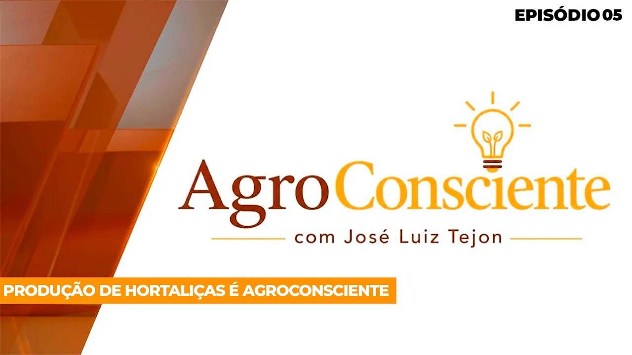 Produzir com sustentabilidade faz parte da rotina da cadeia de Frutas e Hortaliças  no Brasil