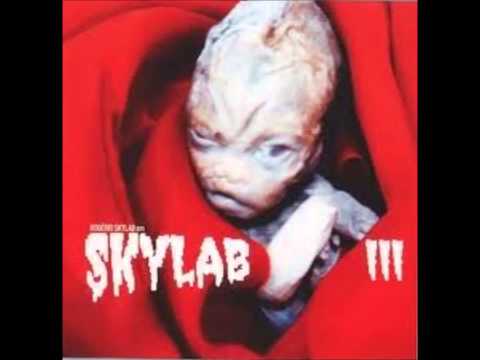 Acorda Siva Maria - Rogério Skylab