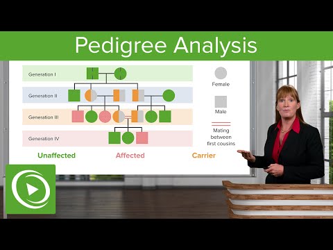 Pedigree Analysis: Dominant & Recessive Patterns – Genetics | Lecturio