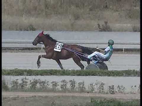 PROVA DI QUALIFICA del 11 GIUGNO 2016 Mt.1600 (Anziani)