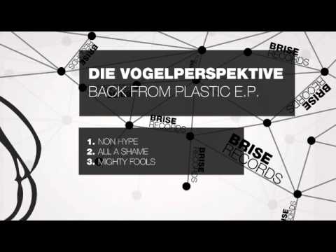 Die Vogelperspective - Non Hype (Brise058)