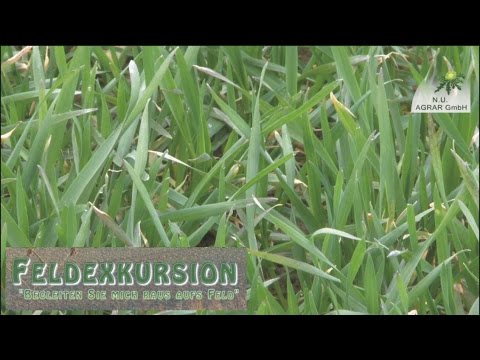 59. Feldexkursion: "Der Weizen hebt ab." , Wachstumsregler - NU Agrar; 05.04.2017