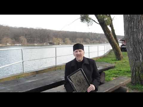 Painea Vietii - Vineri in saptamana 29 dupa Rusalii -  slujitor Dani