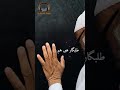 Kar Do Karam Maula Best Nazam Status Whatsapp Status Jumma Mubarak Status