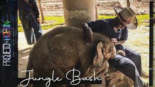 Hopsin - Jungle Bash [LEGENDADO]