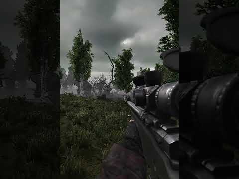 Well that was embarrassing in Stalker Gamma #shorts #stalker2 #stalker #anomaly #stalkeranomaly #fps