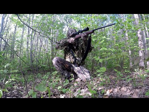 New rifle - BROWNING AB3 HUNTER .