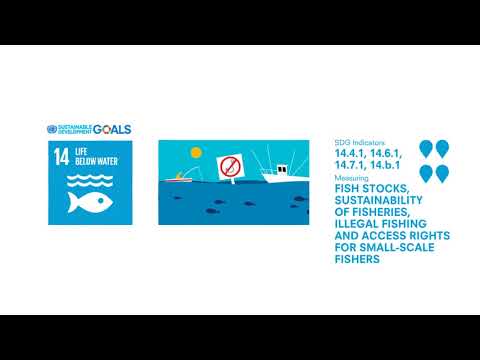 SDG 14 - Indicators of fish stocks, sustainability of fisheries, and illegal fishing