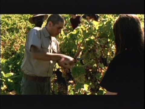 Mouth to Mouth scene 2