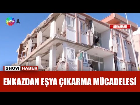 Mal canın yongası ama tehlike büyük!