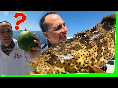 A NEW use for this..!  - Solo boat adventure - Catch and Cook - EP.560